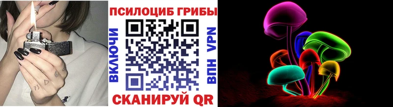 blacksprut как зайти  Медвежьегорск  Галлюциногенные грибы GOLDEN TEACHER 